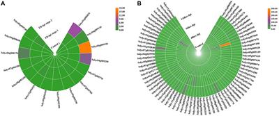 Genome-wide characterization of the NLR gene family in tomato (Solanum lycopersicum) and their relatedness to disease resistance